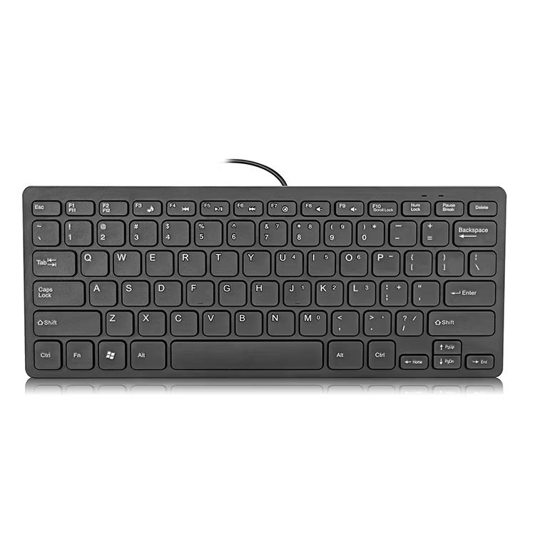 Apple Keyboard - K 1001